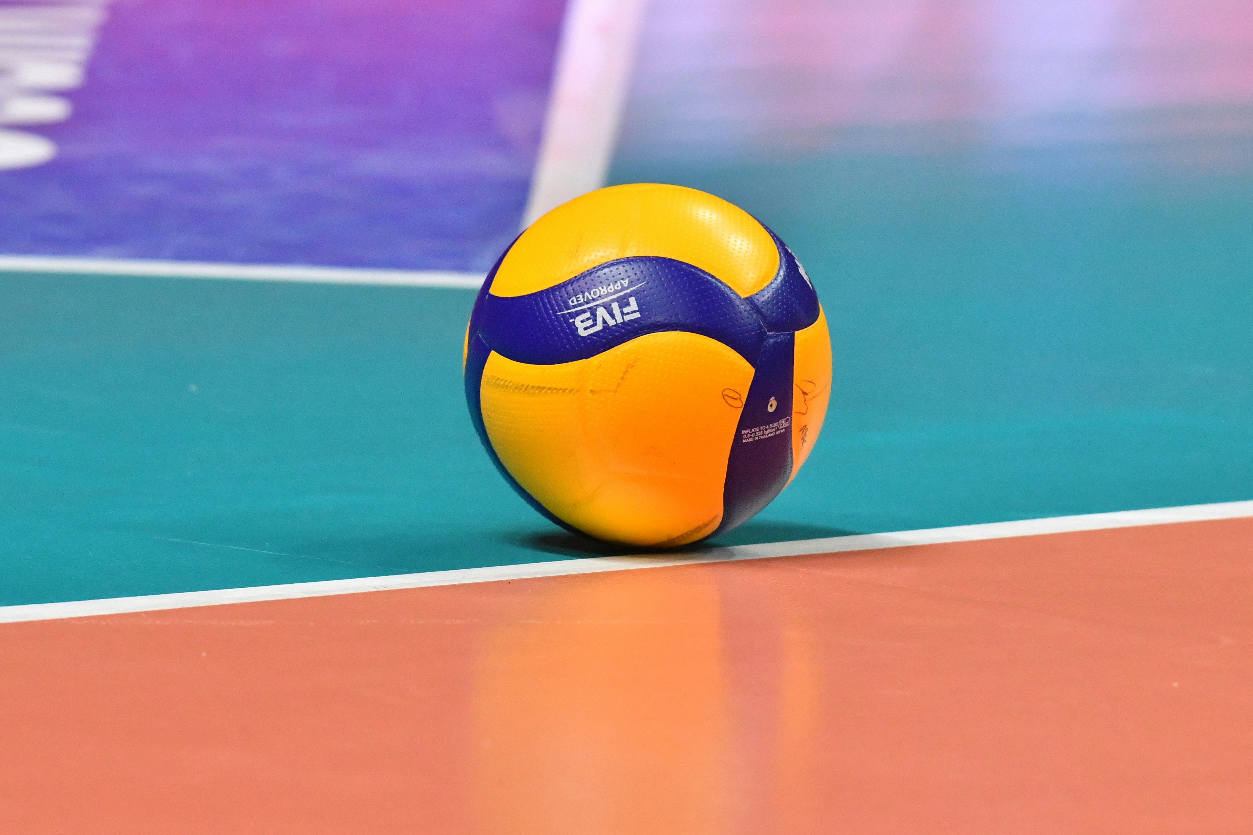 Pallavolo