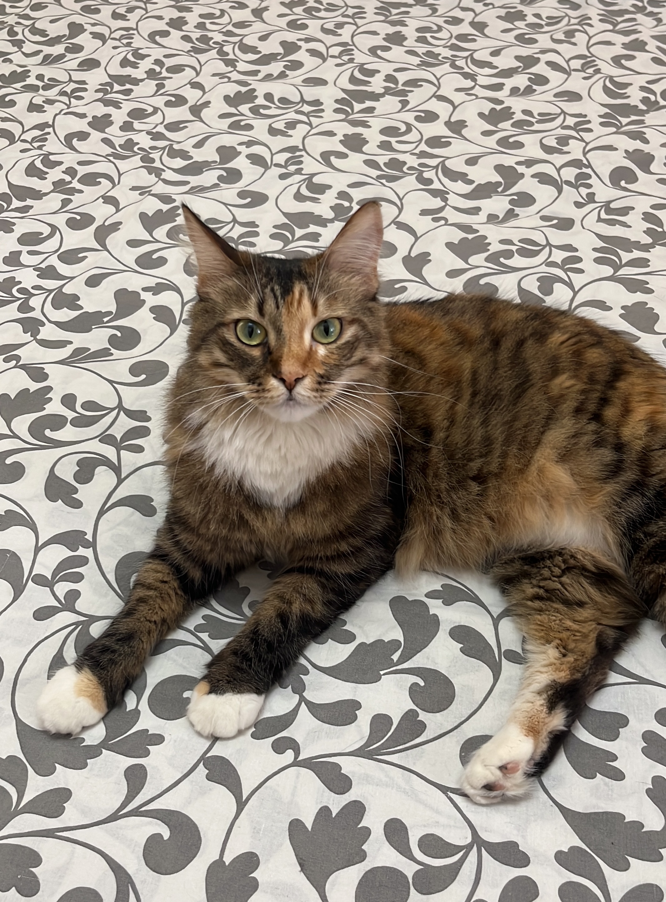 Nina