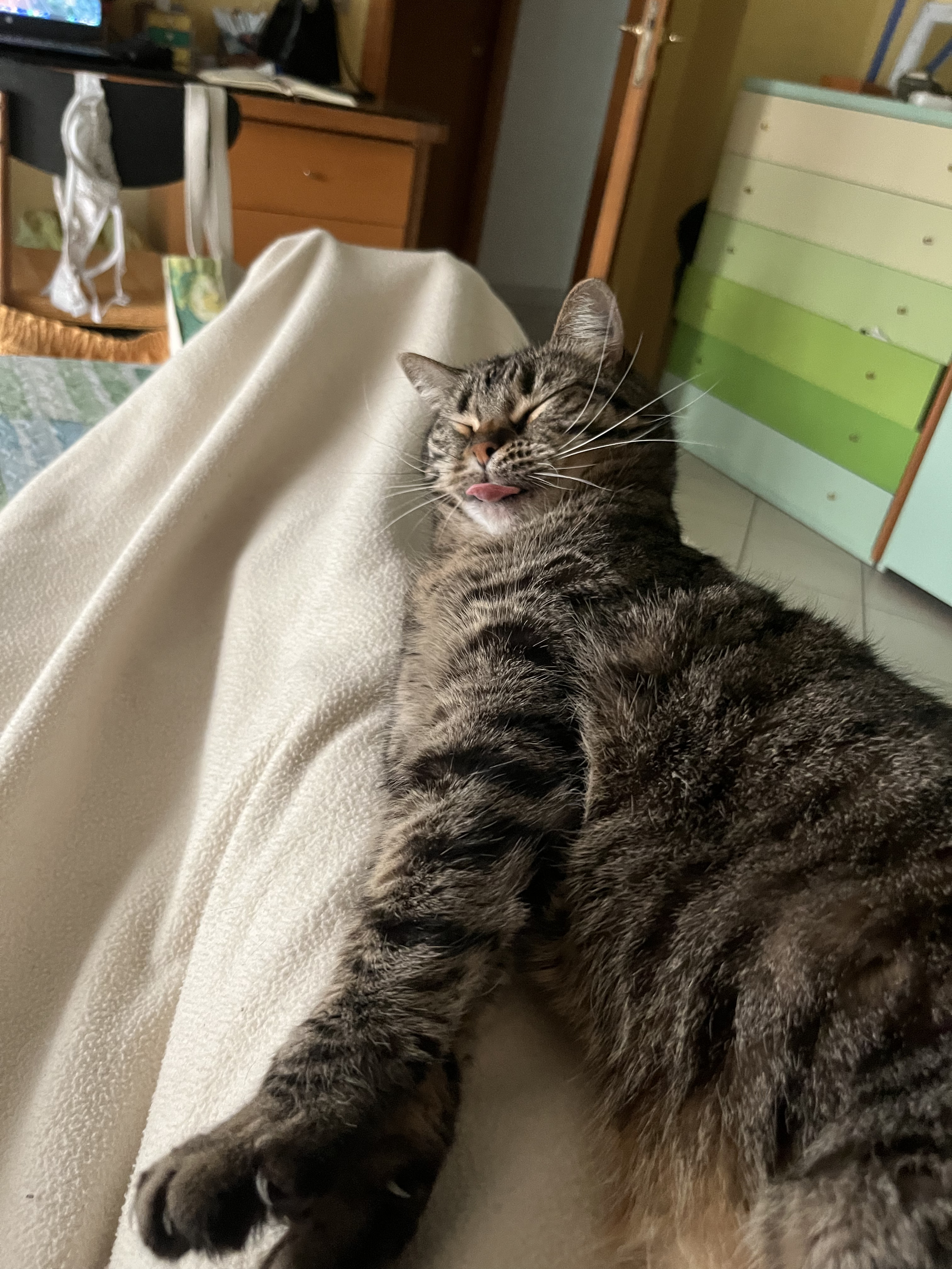 Nika
